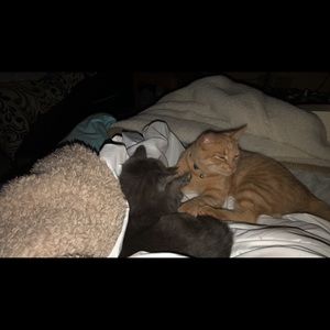 Meet your Posher, Jamie